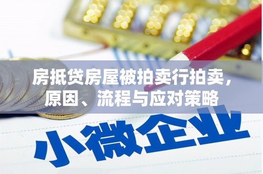 阿拉山口房抵贷房屋被拍卖行拍卖，原因、流程与应对策略