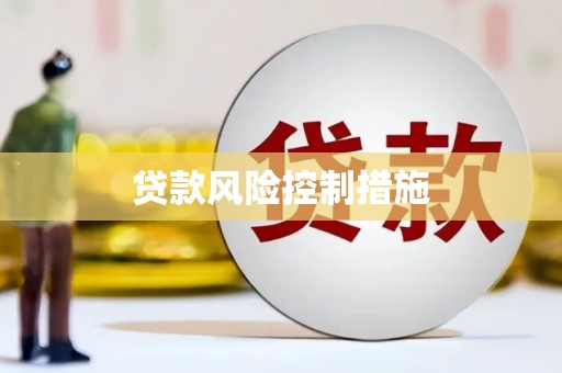 松江贷款风险控制措施